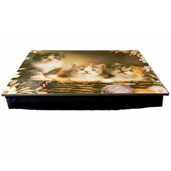 Lap Tray with Cushion Bottom