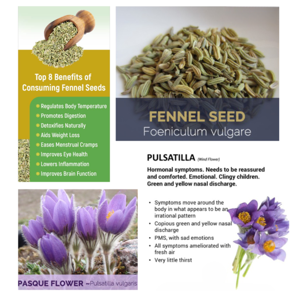 Femalite - Herbal remedy for PMS, mood swings & menstrual cramps