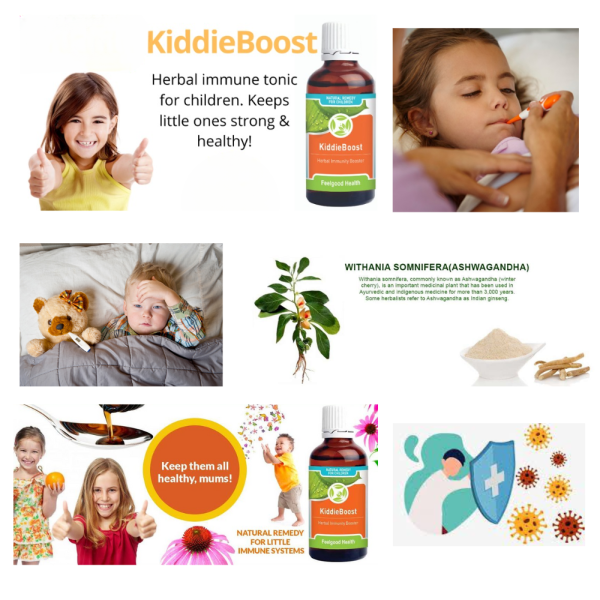 Feelgood Health KiddieBoost Toddlers & Children Antiviral Drops - 50ml