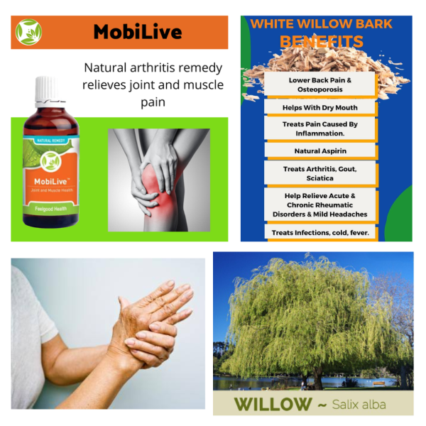 Feelgood MobiLive - Natural arthritis remedy relieves joint and muscle pain