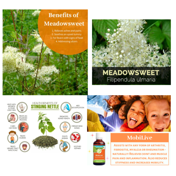 Feelgood MobiLive - Natural arthritis remedy relieves joint and muscle pain