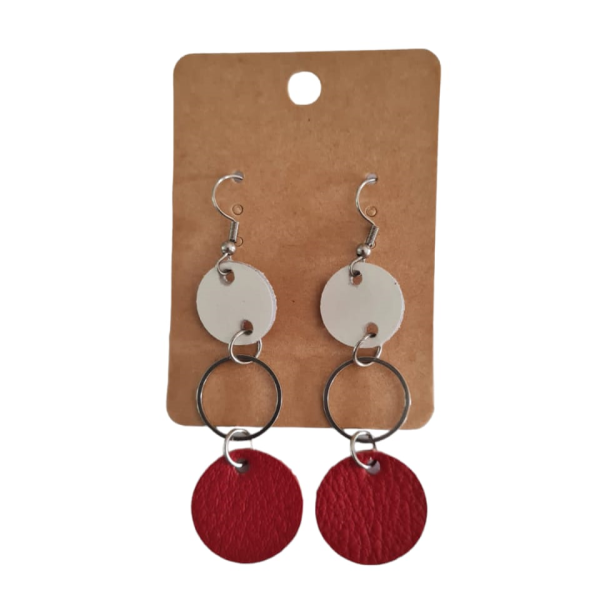 Stainless steel Wood & Leather Earrings