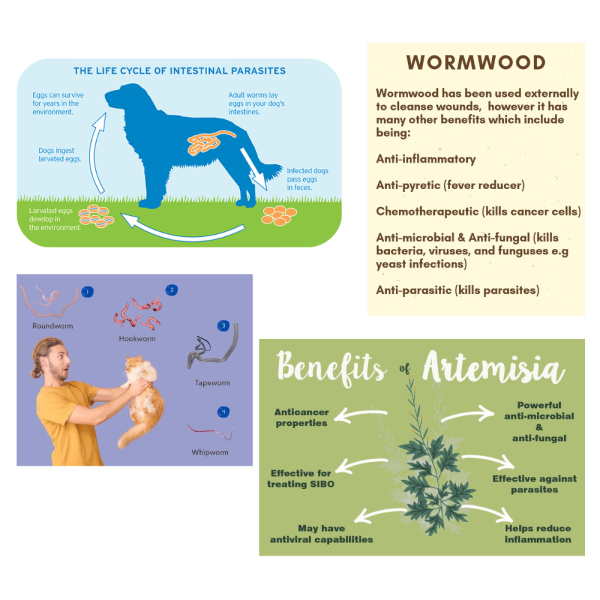 Feelgood Worm Dr Pets - Natural herbal worm medicine for deworming dogs & cats